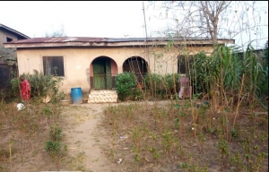 Image 1 Title