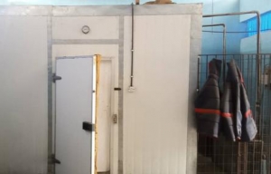 Brand New Standard Cold Room Factory Factory for Sale Warri Delta Vetra  Property