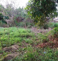 Plot Of Land Measuring 100 By 70 Ft 7,000 Foot Square of Land for Sale Ughelli North Delta Vetra  Property
