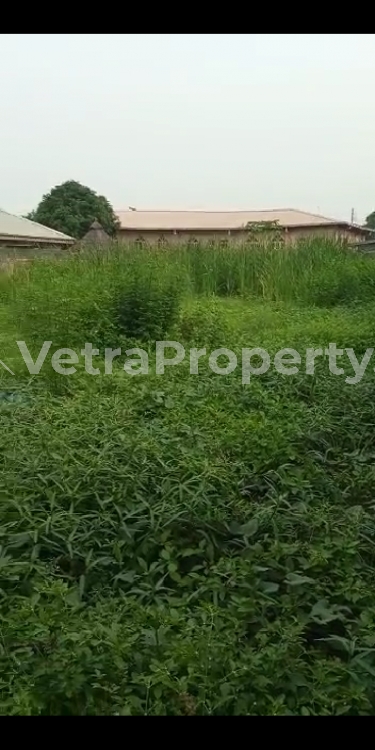  Level Half Plot Land at Sholuyi Gbagada  Land for Sale Gbagada Lagos Vetra  Property