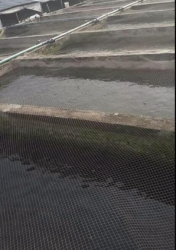Fish Farm On Two Plots Of Land 2 Plots of Land for Sale Ikotun Igando Lagos Vetra  Property