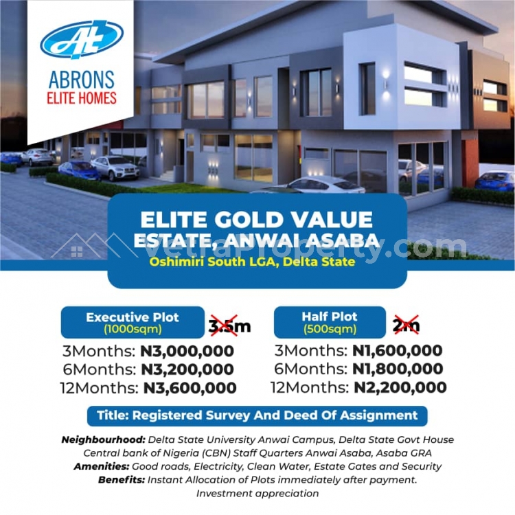 Land with registered survey and deed of assignment  Land for Sale Asaba Delta Vetra  Property