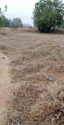 Land Measuring 150sqm 150 Meter Square of Land for Sale Jalingo Taraba Vetra  Property