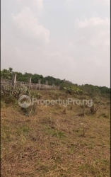 1000sqm Mixed Use Land 1,000 Meter Square of Land for Sale Akwanga Nassarawa Vetra  Property