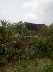 Commercial Land  Land for Sale Agbara Igbesa Ogun Vetra  Property