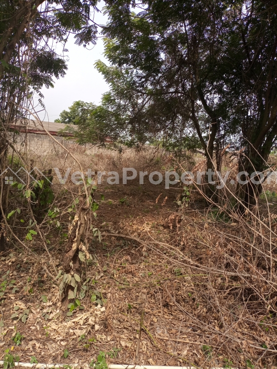  1000 acres of land  Land for Sale Badagry Lagos Vetra  Property