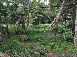 Residential Land Land for Sale Uhunmwonde Edo Vetra  Property