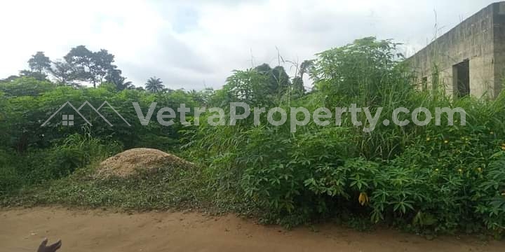  2 plots of land together  Land for Sale Ikoyi Lagos Vetra  Property