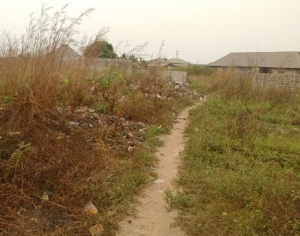 2 Plots Of Land 2 Plots of Land for Sale Remo North Ogun Vetra  Property