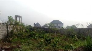 A Plot Of Land 1 Plot of Land for Sale Obio Akpor Rivers Vetra  Property