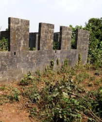 Image 1 Title