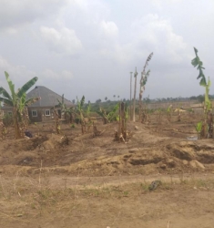 500 Sqm Mixed Use Land 500 Meter Square of Land for Sale Uyo Akwa Ibom Vetra  Property