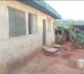 Fish Farm Tank Farm for Sale Awka North Anambra Vetra  Property