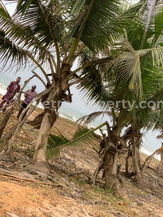  Beach ? Heaven Estate  Land for Sale Ibeju Lekki Lagos Vetra  Property