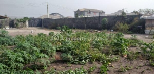 Residential Land 1 Plot of Land for Sale Ajah Lagos Vetra  Property