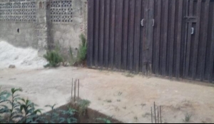 Image 1 Title