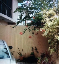 Image 1 Title