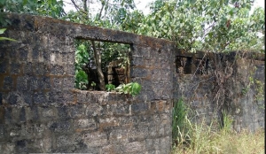 Image 1 Title