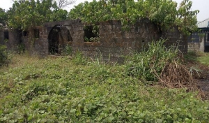 Image 1 Title