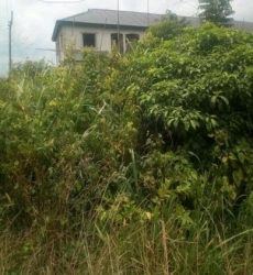 1 Plot Of Land With 3 Bedroom Building On It 1 Plot of Land for Sale Ado Odo Ota Ogun Vetra  Property