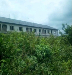 Image 1 Title