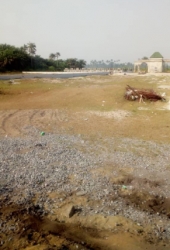 Image 1 Title