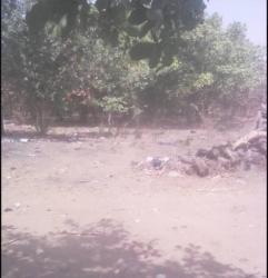 Image 1 Title