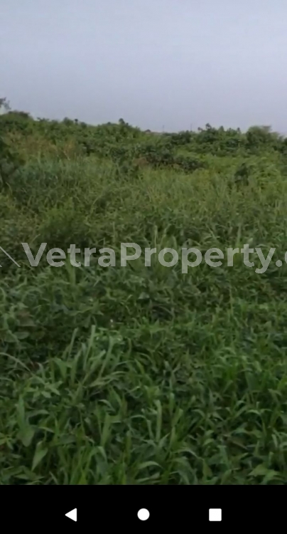  Be a Land Owner with Distress Sale, Cheap Virgin Half Plot Of Land  Land for Sale  Lagos Vetra  Property