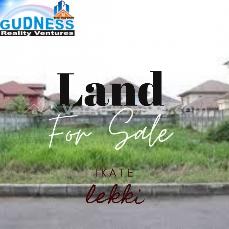  4,411 Square Meters And A Long Drive Way… Half Of The Land Can Be Sold  Land for Sale Lekki Lagos Vetra  Property