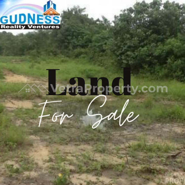  Just Newly Out This Morning 2 Plots = 60 by 240.  Land for Sale Ibeju Lekki Lagos Vetra  Property