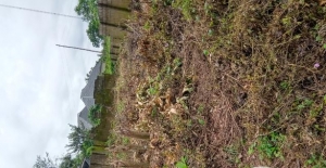 Half Plot Of Land 1 Plot of Land for Sale Ikorodu Lagos Vetra  Property