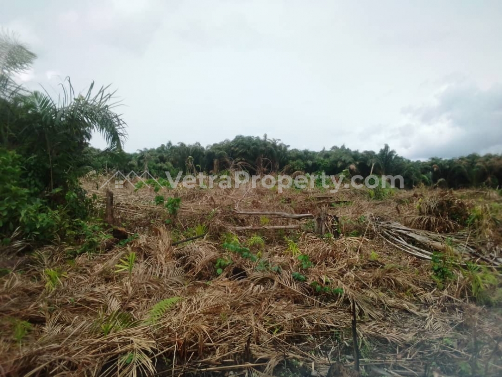  FAMILY RECEIPT:4 ACRES OF LAND @ AGURA AREA OF IKORODU,1.8 MILLION NAIRA PER ACRE  Land for Sale Ikorodu Lagos Vetra  Property