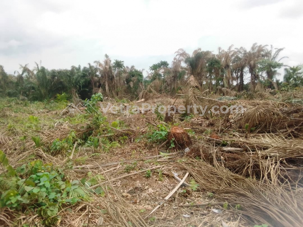  A 60 by 60 piece of land  Land for Sale Ikorodu Lagos Vetra  Property