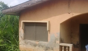 A Half Plot Of Land With A Construction Of Bungalow On It 5 bedroom Detached Bungalow for Sale Ipaja Lagos Vetra  Property