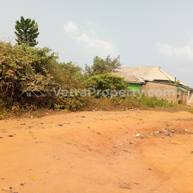  2 Plots of Dry and Bare Land in a Developed Location  Land for Sale Ikorodu Lagos Vetra  Property