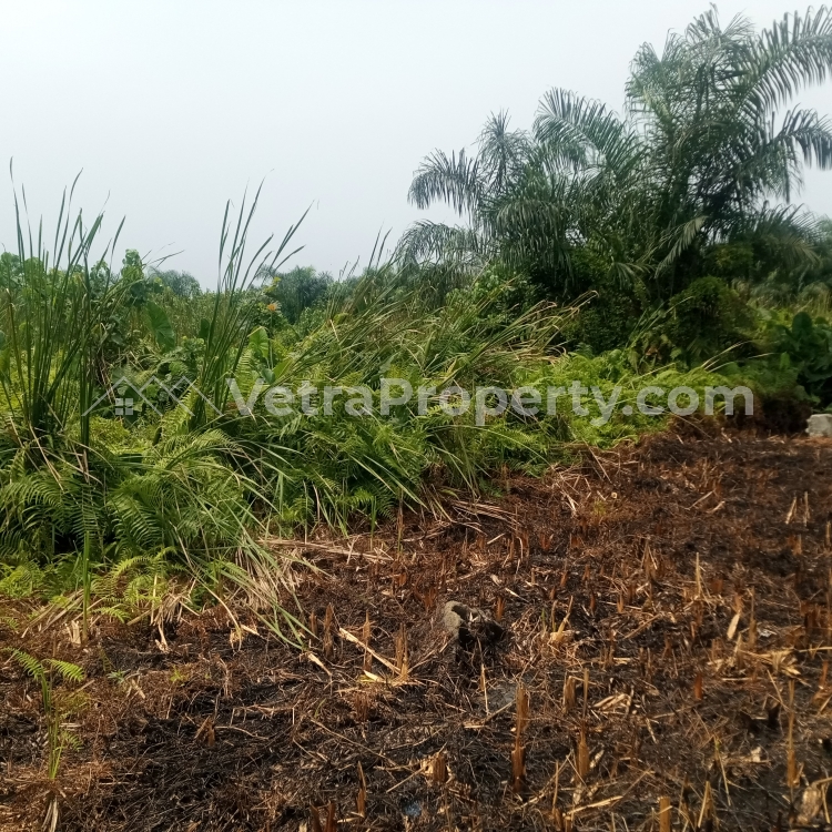  Plots of Land  Land for Sale Ibeju Lekki Lagos Vetra  Property