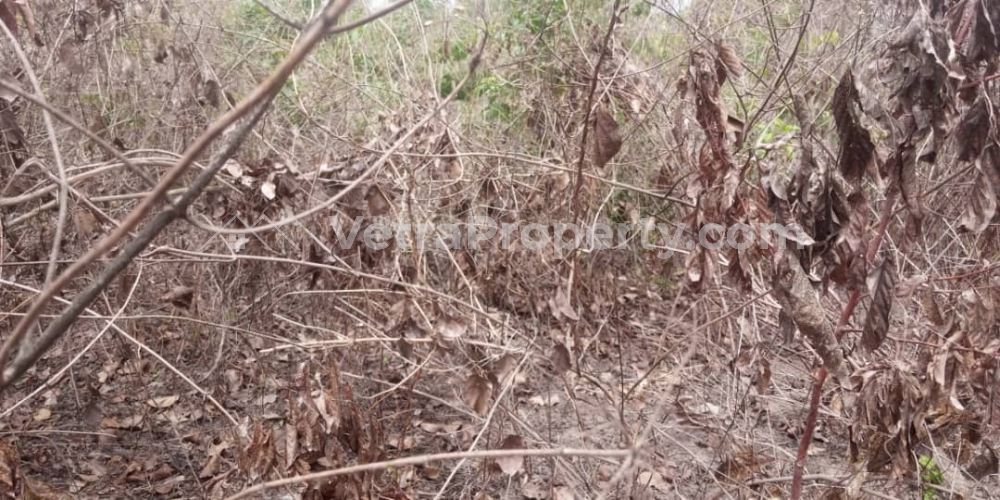  Full Plot of Land At Amuloko Area  Land for Sale Ibadan Oyo Vetra  Property