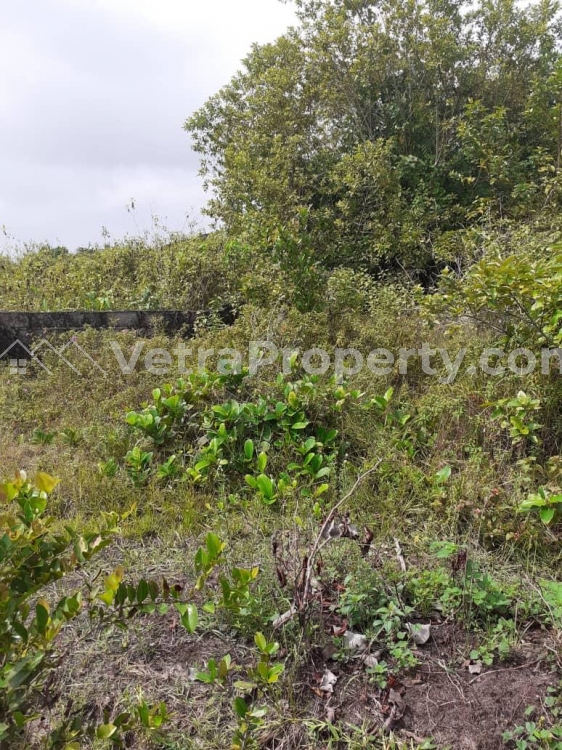  Full Plot of Land  Land for Sale Ibeju Lekki Lagos Vetra  Property