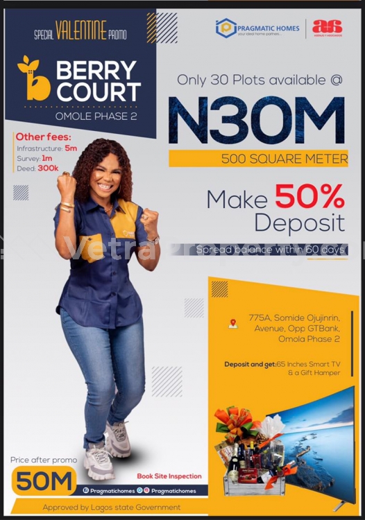  Premium Estate Land In Good Location  Land for Sale Ojodu Lagos Vetra  Property