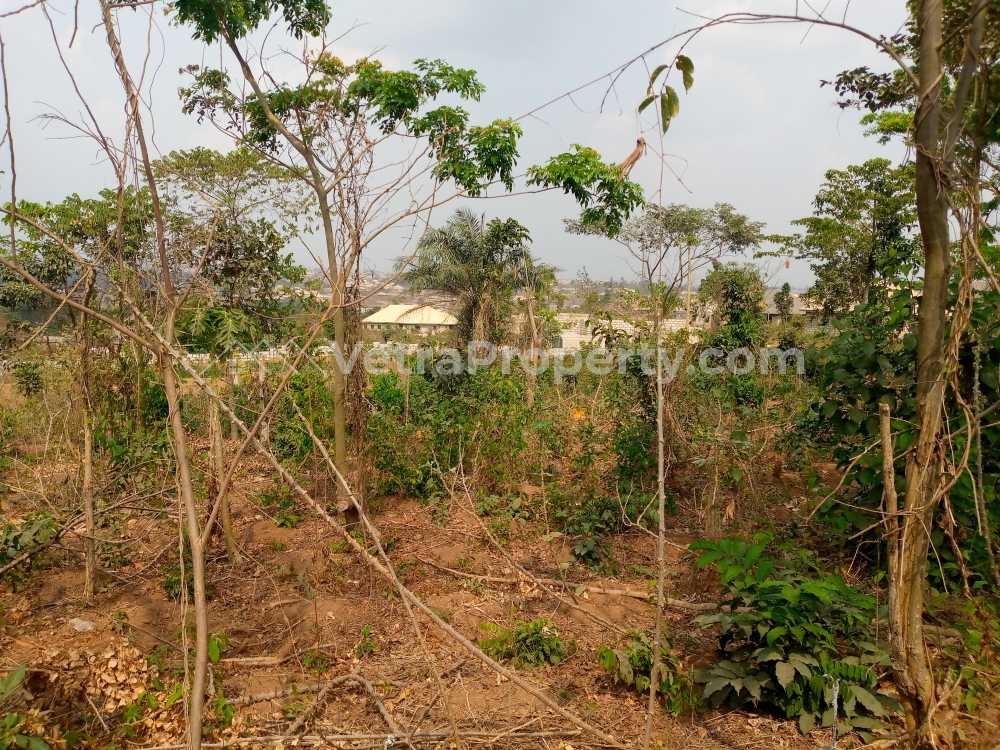  nice 6 plots of land in a developing area near the road  Land for Sale Ibadan Oyo Vetra  Property