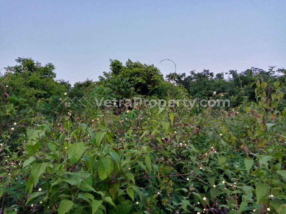  Strategic 5 acres of land in a good area  Land for Sale Ibadan Oyo Vetra  Property