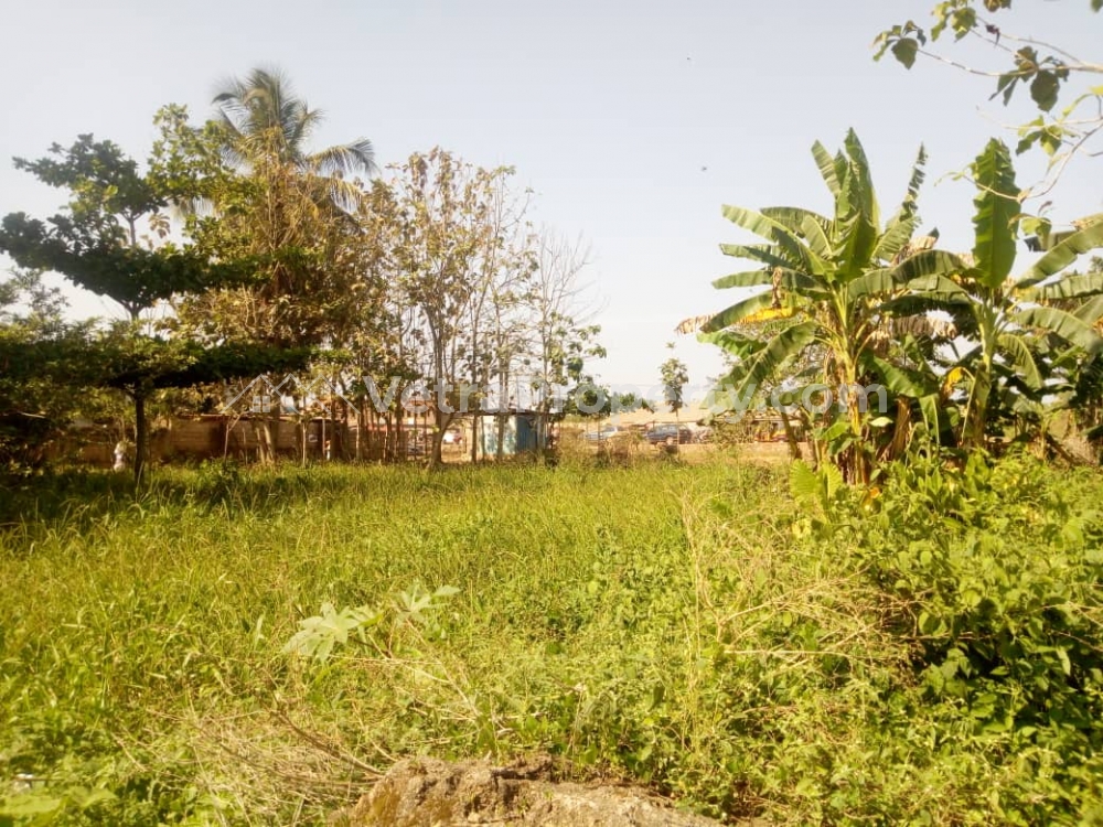Image 1 Title