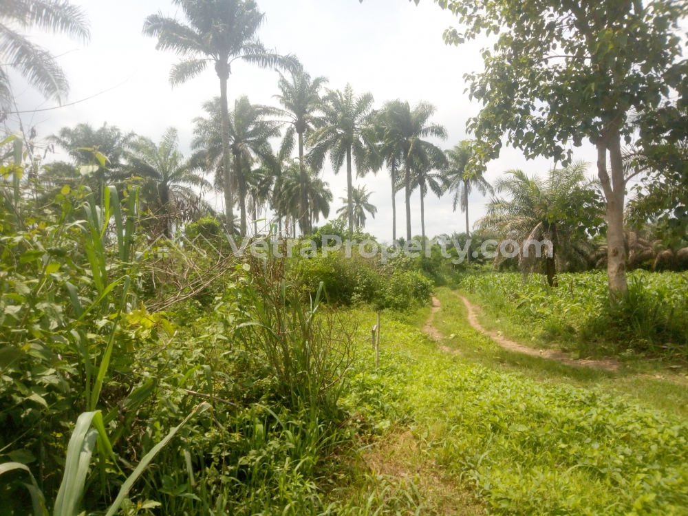  5 Acres of Land Near Civilization  Land for Sale Ibadan Oyo Vetra  Property