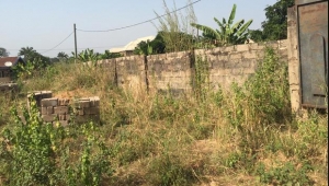4 Plots Of Mixed Use Land 4 Plots of Land for Sale Enugu Enugu Vetra  Property