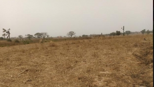 One Plot Of Land 1 Plot of Land for Sale Kaduna South Kaduna Vetra  Property