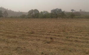 2000sqm Plots Of Land 2,000 Meter Square of Land for Sale Jukwoyi Abuja Vetra  Property
