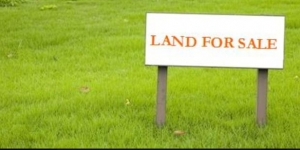 2 Plots Of Land 2 Plots of Land for Sale Ikwerre Rivers Vetra  Property