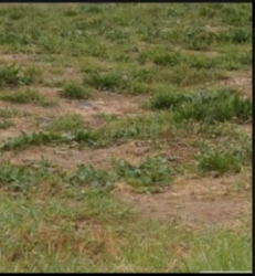 Full Plot Of Land 1 Plot of Land for Sale Ilorin Kwara Vetra  Property