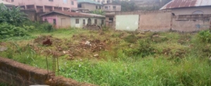A Full Plot Of Land 1 Plot of Land for Sale Ogba Lagos Vetra  Property
