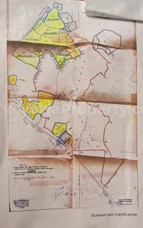  500 Acres LAND with C of O (PRICE PER ACRE)  Land for Sale Odogbolu Ogun Vetra  Property